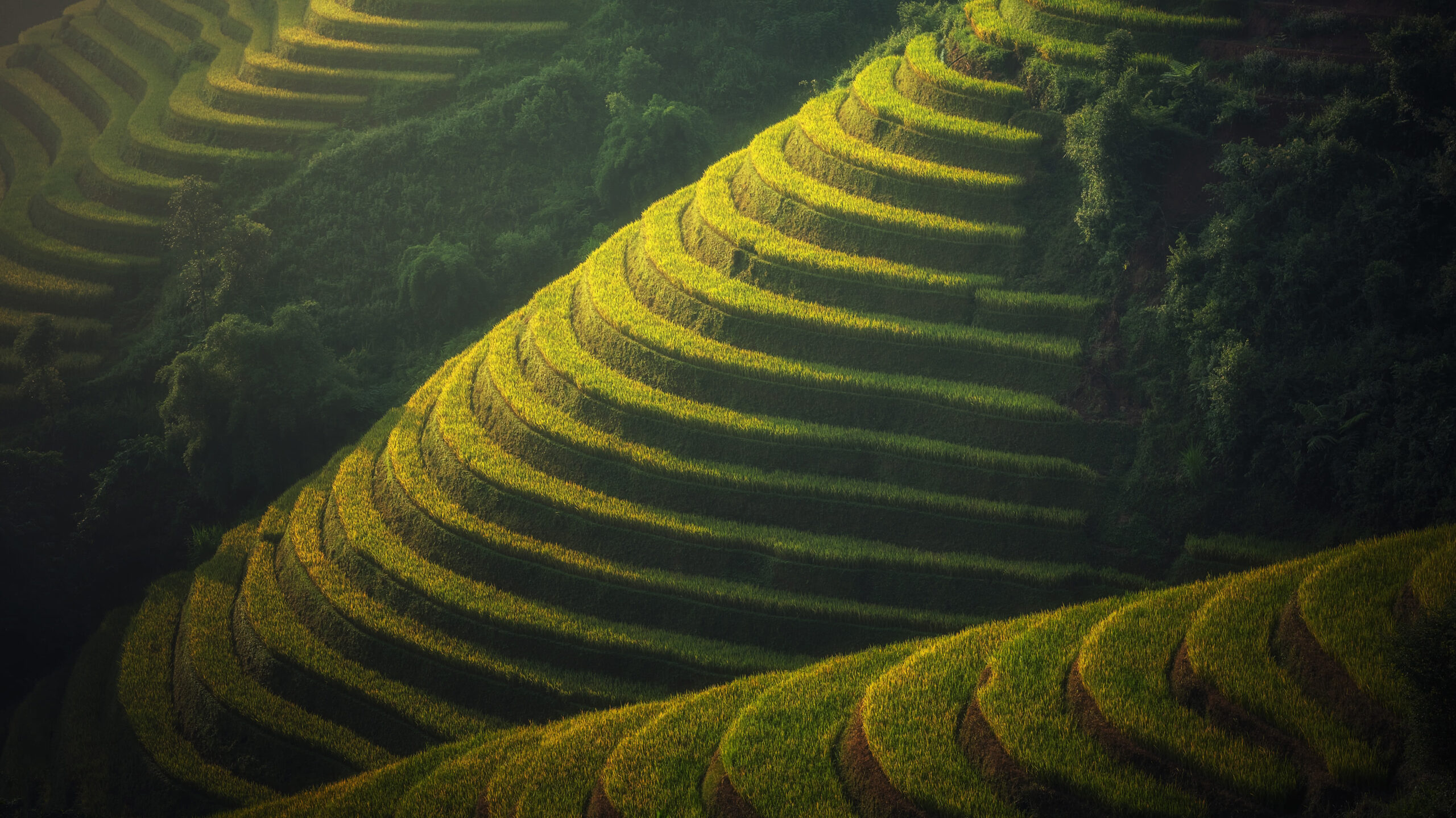 625188-3840x2160-desktop-4k-indonesia-wallpaper-image (1)
