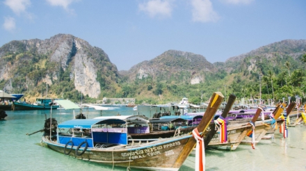 pexels-tranmautritam-90336